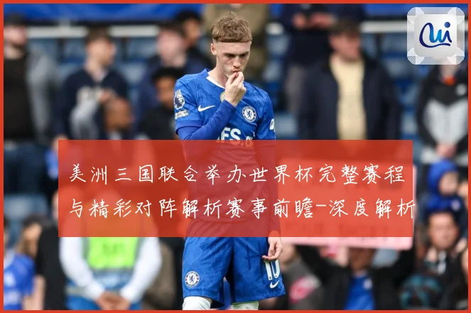 美洲三国联合举办世界杯完整赛程与精彩对阵解析赛事前瞻-深度解析